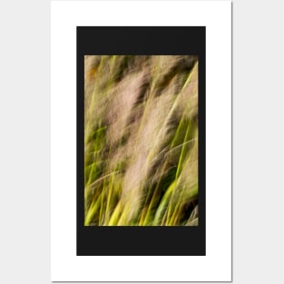 Pampas Grass Abstract Blur Posters and Art